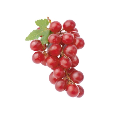 ブドウ果実細胞エキスイメージ画像