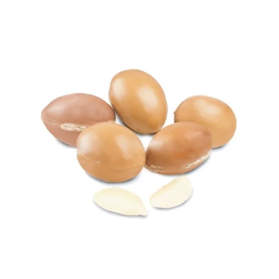 アルガン幹細胞イメージ画像