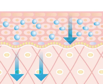 REVIハーブピーリングの働きその3【血流改善】