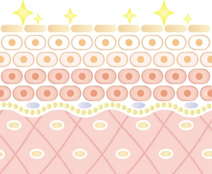 REVIハーブピーリングの働きその5【陶肌トリートメント】